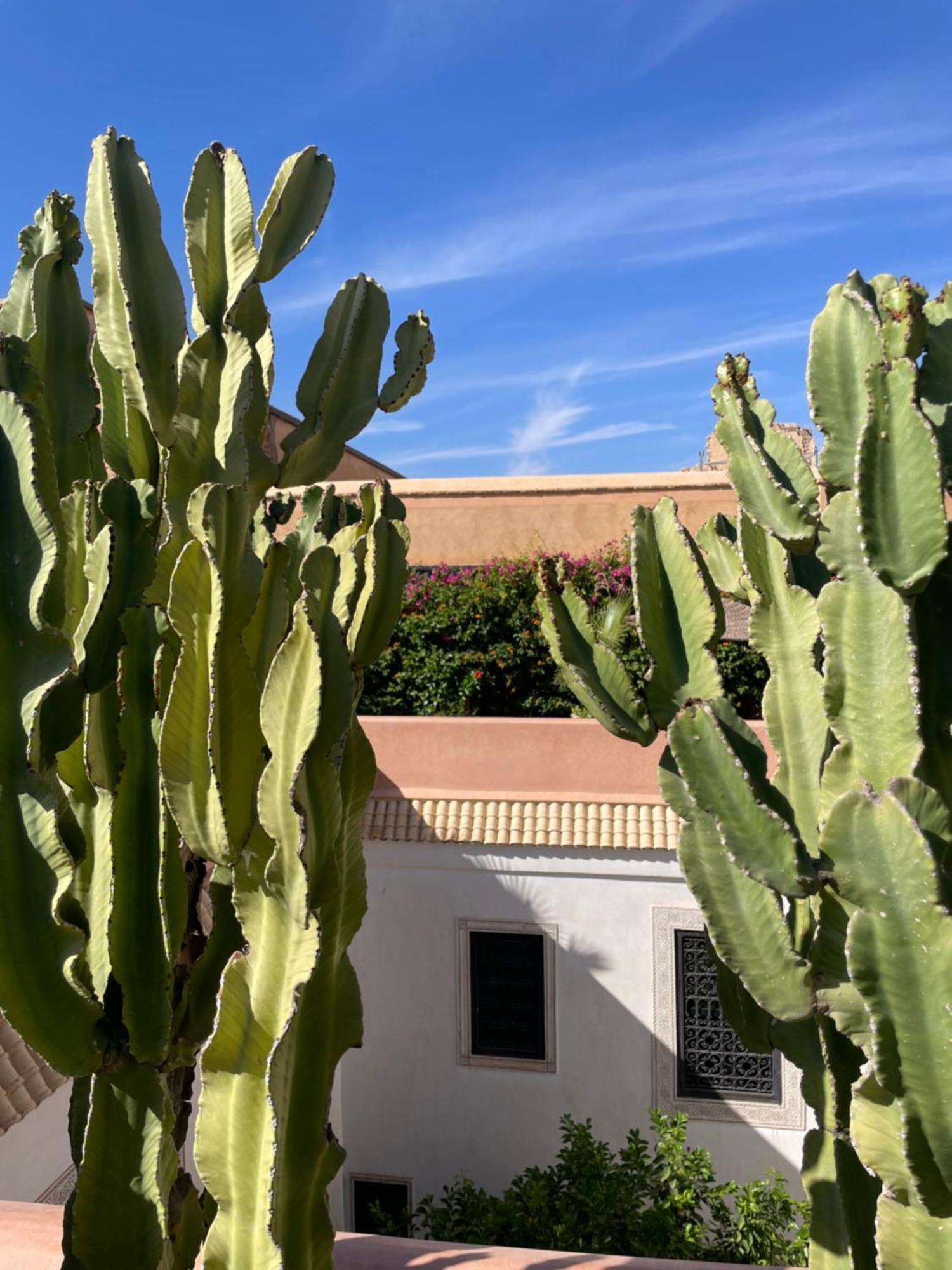 Riad Zouhour Marrakesh Eksteriør bilde