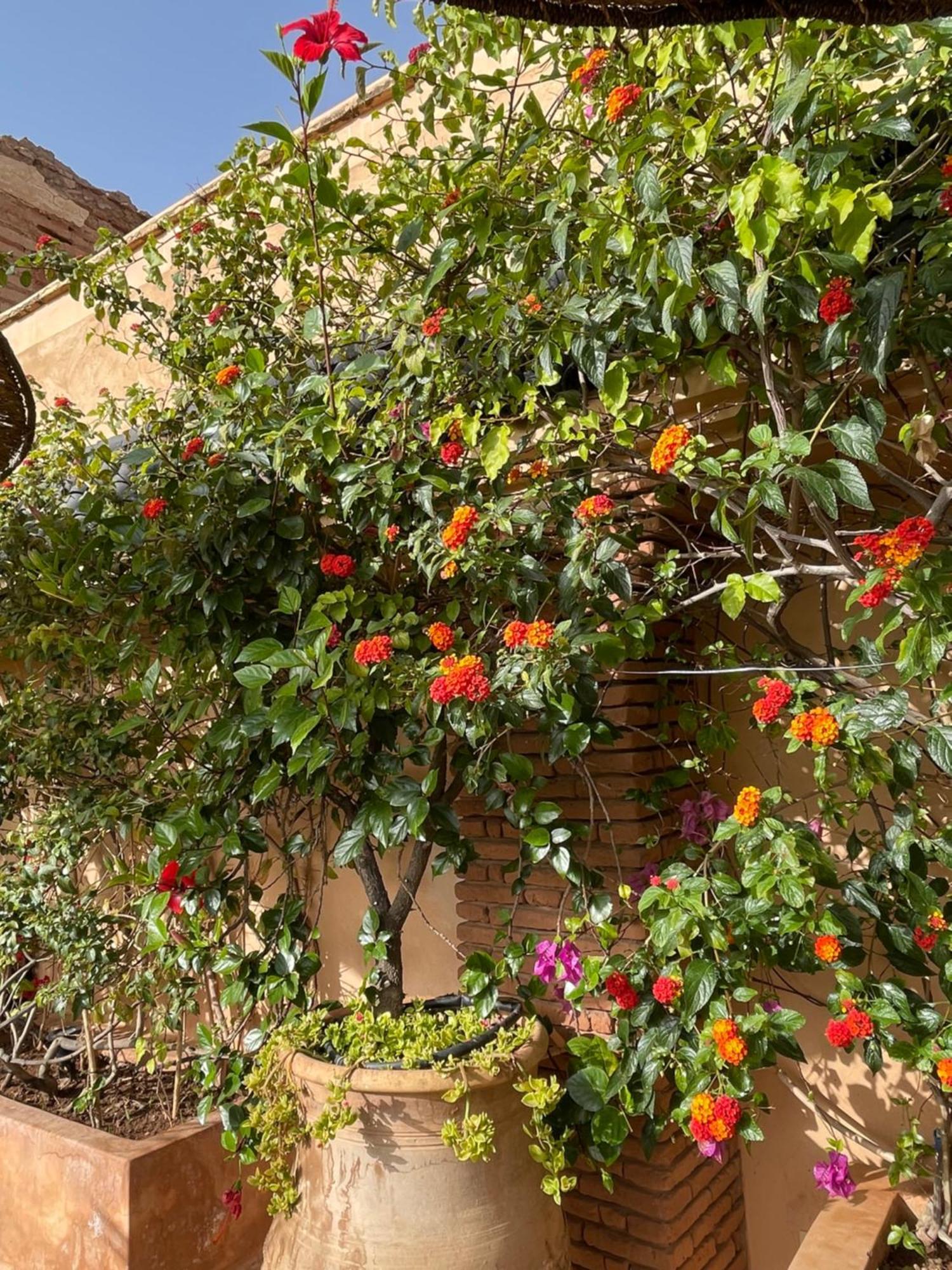 Riad Zouhour Marrakesh Eksteriør bilde